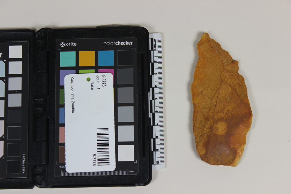 Hearst Museum object titled Flake, accession number 5-3776, described as Triangular primary flake, chert; 10.8 x 4.7 cm.