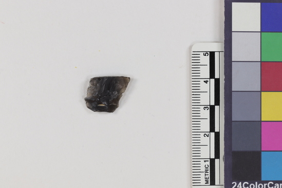 Hearst Museum object 1 of 2 titled Flake, accession number 16-14440, described as Projectile point fragment; obsidian; triangular; weight: 0.99 grams; length: 1.37 cm; width: 1.39 cm; depth: 0.4 cm.