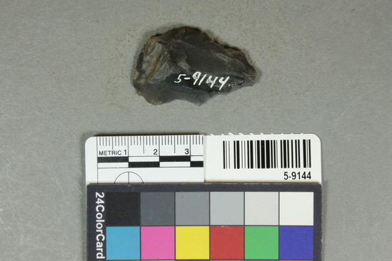 Hearst Museum object titled Handaxe, accession number 5-9144, described as double notch handaxe (from Trial Catalogue)