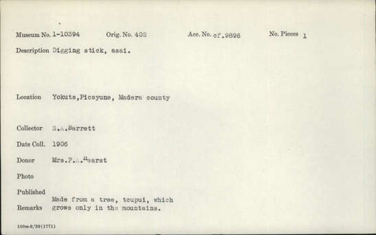 Documentation associated with Hearst Museum object titled Digging stick, accession number 1-10394, described as Digging stick. Made from a tree.