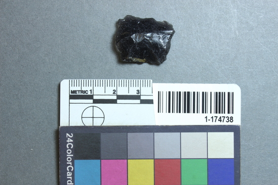 Hearst Museum object titled Flake, accession number 1-174738, described as Unifacial flake of obsidian.