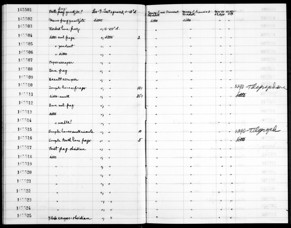 Documentation associated with Hearst Museum object titled Faunal remains, accession number 1-145511, described as Sample bones: fragments, small