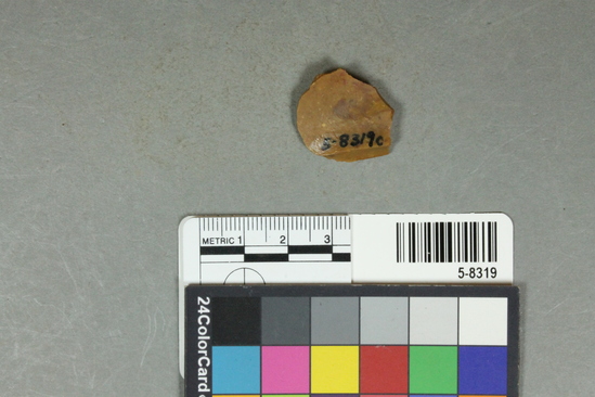 Hearst Museum object 25 of 25 titled Flakes, accession number 5-8319, described as Chert flakes