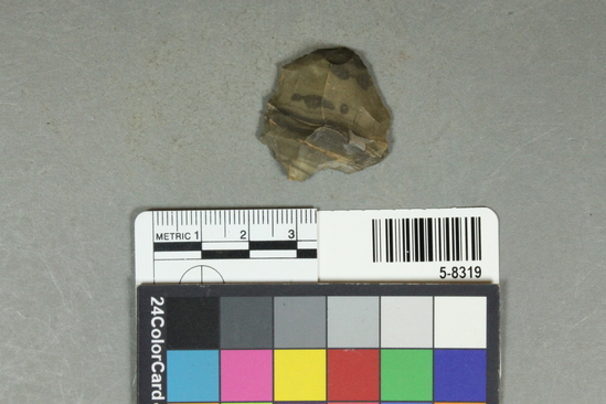 Hearst Museum object 7 of 25 titled Flakes, accession number 5-8319, described as Chert flakes