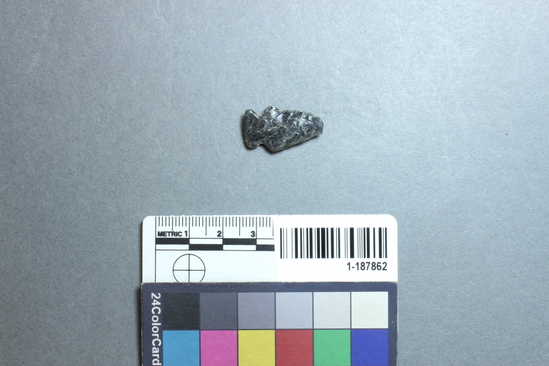 Hearst Museum object titled Projectile point, accession number 1-187862, described as Obsidian