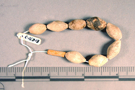 Hearst Museum object titled Beads, accession number 6-16313, described as Beads: 8 shell barrel-shaped, 1 shell tubular.