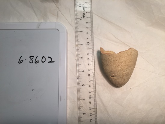 Beer cup fragment