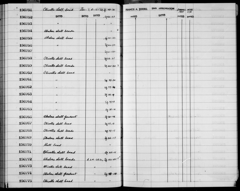 Documentation associated with Hearst Museum object titled Bead, accession number 1-196762, described as Olivella shell.