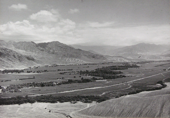 Hearst Museum object titled Photograph, mounted, accession number 13-3962, described as Photo; View of Ingenio branch of Nasca Valley. Looking up-river from Pan-American highway. 9 3/4" x 14