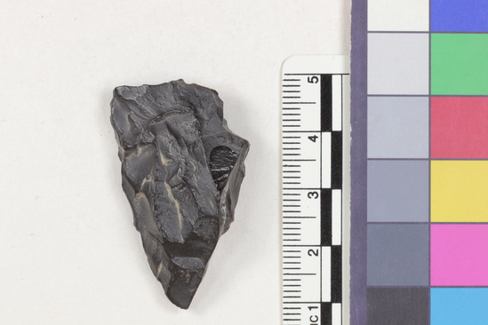 Hearst Museum object 1 of 2 titled Flake fragment, accession number 16-14386, described as Projectile point fragment; obsidian; triangular; weight: 8.67 grams; length: 4.2 cm; width: 2.34 cm; depth: 1.2 cm.