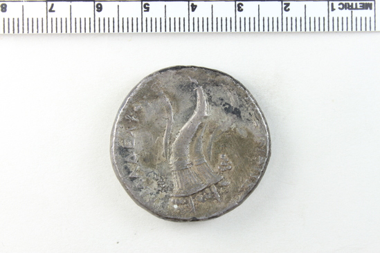 Hearst Museum object 4 of 5 titled Coin: ar octodrachm, accession number 8-4327, described as Coin; AR; Octodrachm; Greek. 33.24 grams, 35 mm. Ptolemy II, 266 BC. Egypt. Obverse: Head of Arsinoe r., diademed and veiled; behind, E. Reverse: APΣINOHΣ ΦIΛAΔEΛΦOY, double cornucopiae