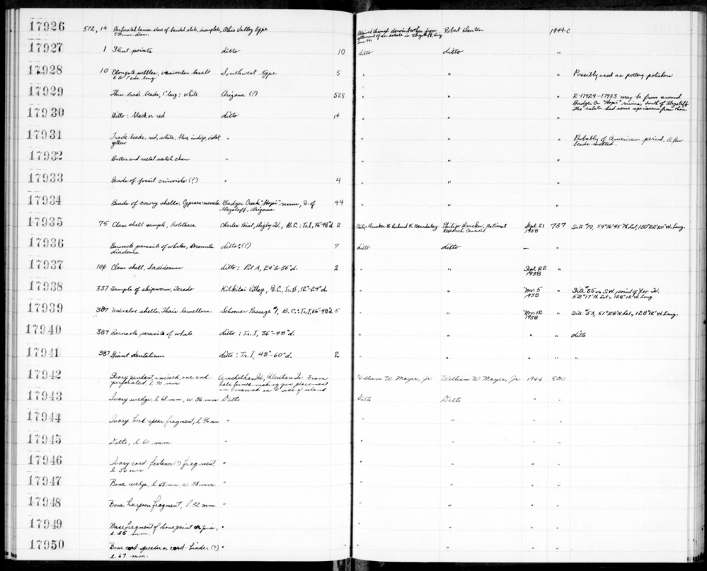 Documentation associated with Hearst Museum object titled Univalve shells, accession number 2-17939, described as Univalve shells, Thalis lamellosa