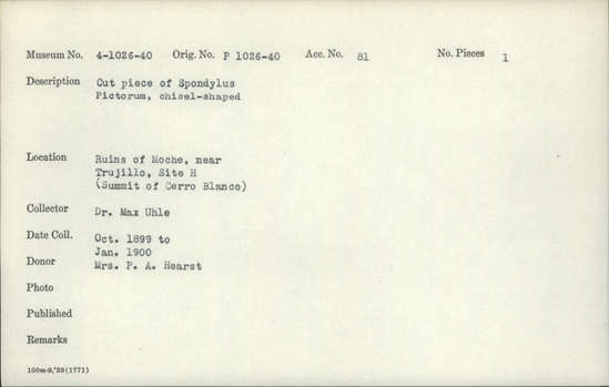 Documentation associated with Hearst Museum object titled Worked shell, accession number 4-1035, described as Cut piece of Spondylus pictorum, chisel-shaped.