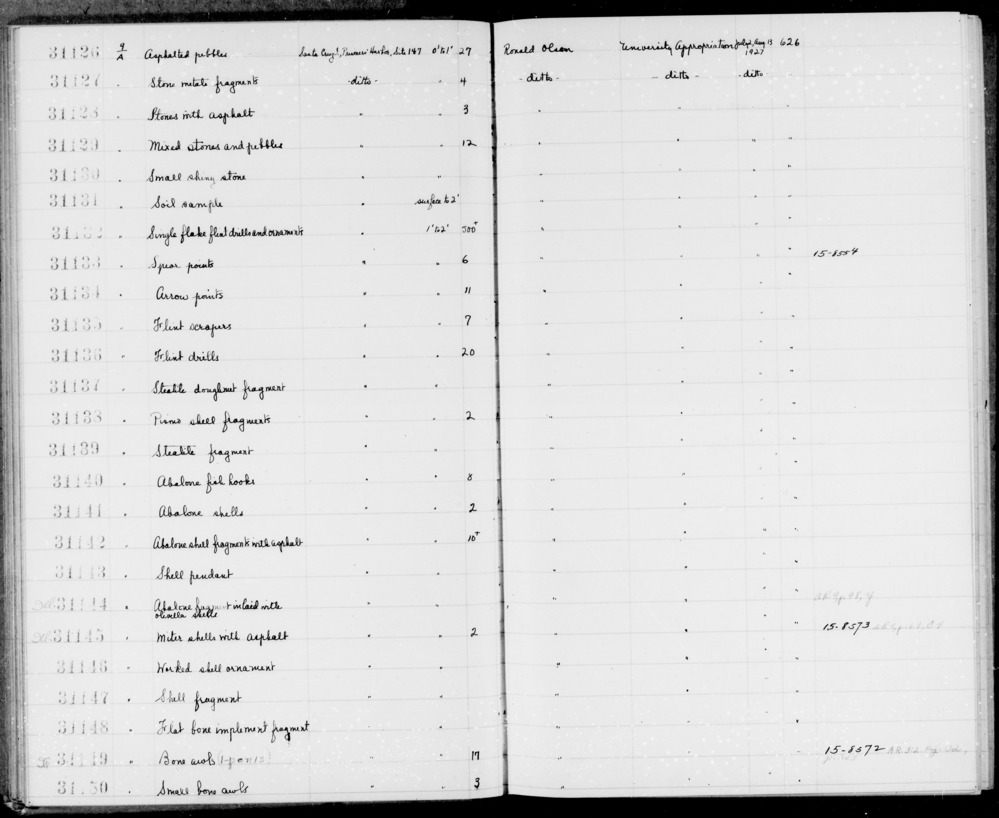 Documentation associated with Hearst Museum object titled Scrapers, accession number 1-31135, described as Made of flint.