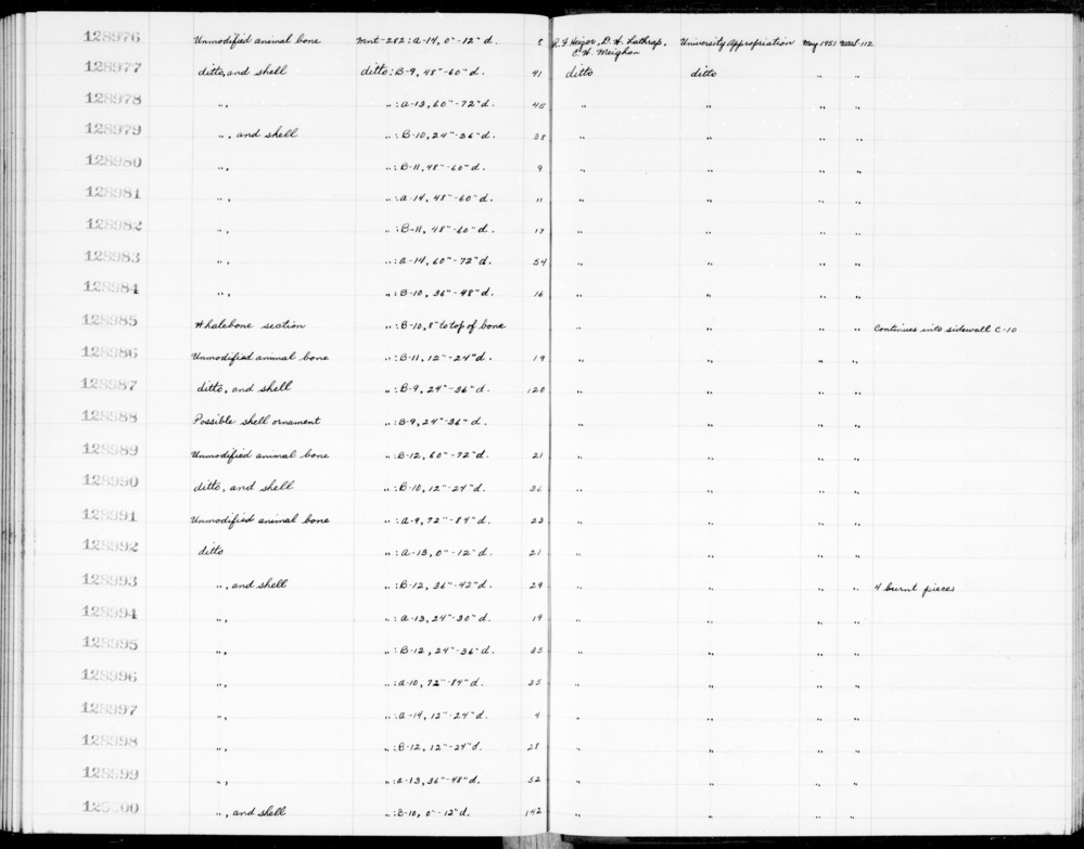 Documentation associated with Hearst Museum object titled Shell fragment, accession number 1-128998.2, described as Shell fragment.