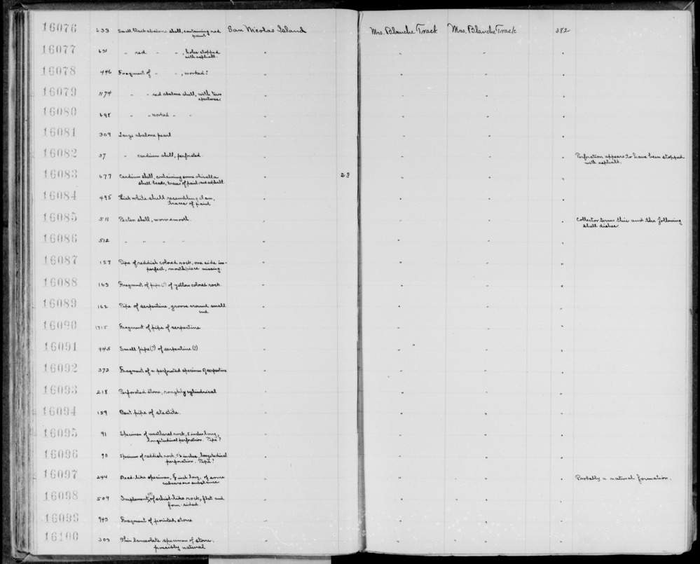 Documentation associated with Hearst Museum object titled Shell fragment, accession number 1-16079, described as Of red abalone, with two apertures.