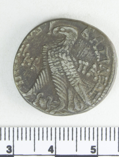 Hearst Museum object titled Coin: billon tetradrachm, accession number 6-22326, described as Coin, silver base. Diameter 24 mm. Weight 13.25 grams. Condition good. Denomination: silver base tetradrachm. Obverse description: Head of Ptolemy I, facing right, diademed, aegis around neck, border of dots. Reverse description: [inscription] Eagle on thunderbolt, border of dots. Mint date: Alexandria, year 22, reign of Ptolemy XI, Alexander I.