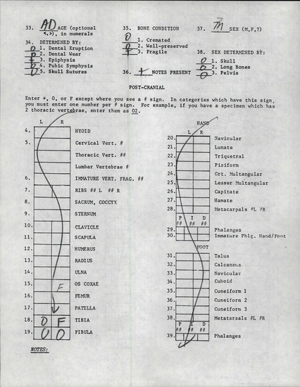 Documentation associated with Hearst Museum object titled Human remains, accession number 12-8746A, described as Remains of one one adult male.