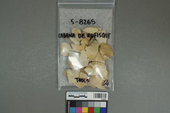 Hearst Museum object 3 of 4 titled Flake, accession number 5-8265, described as flakes; irregular; various sizes; 34 tools, 9 cores