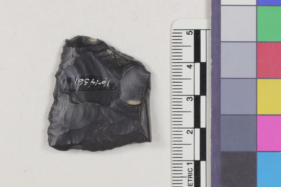 Hearst Museum object titled Projectile point fragment, accession number 16-14361, described as Projectile point fragment; obsidian; triangular; weight: 8.47 grams; length: 3.25 cm; width: 3.6 cm; depth: 0.55 cm; irregular convex sides; straight, thinned base.