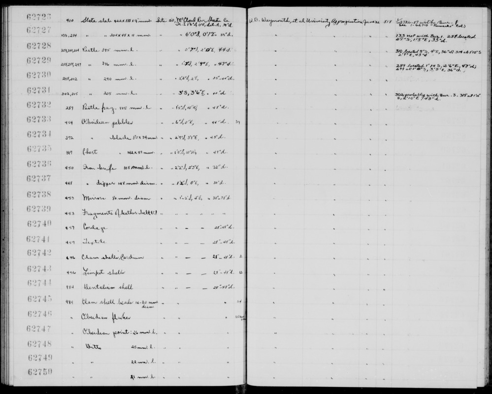 Documentation associated with Hearst Museum object titled Shell, accession number 1-62743, described as Limpet