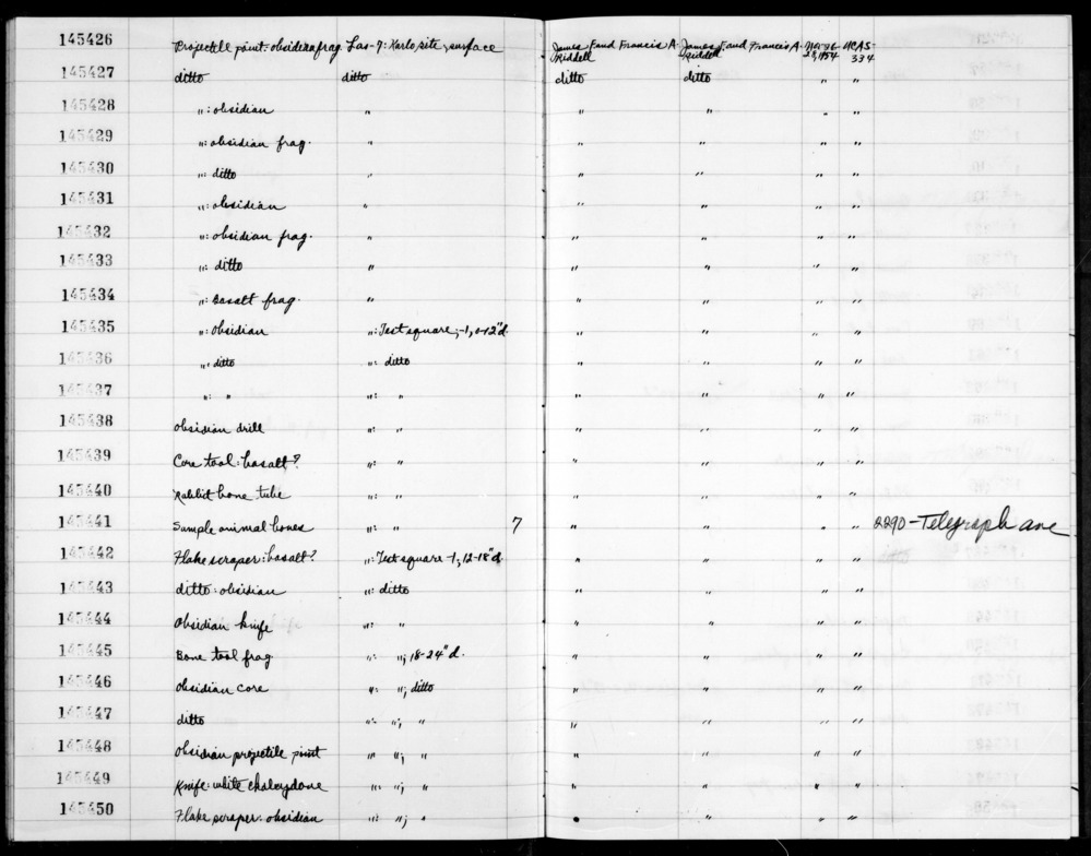 Documentation associated with Hearst Museum object titled Faunal remains, accession number 1-145441, described as Sample of animal bones.