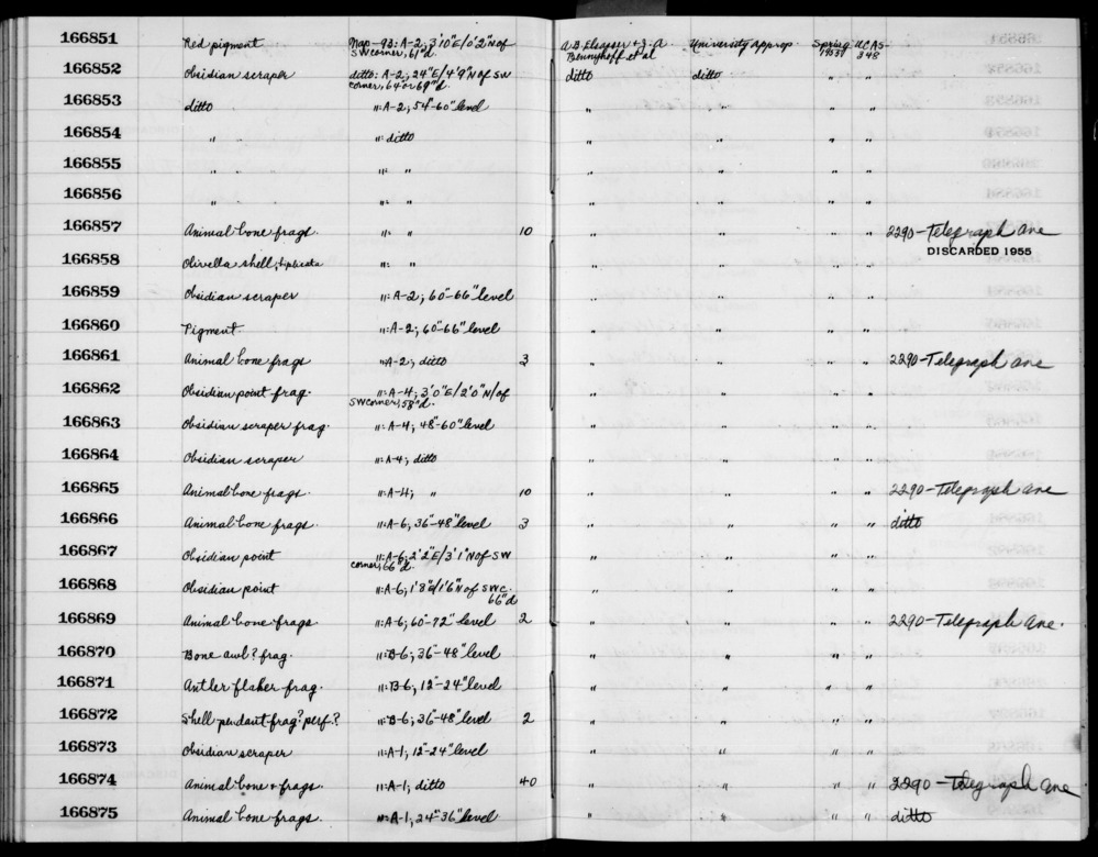 Documentation associated with Hearst Museum object titled Metapodial epiphysis, accession number 1-166874.12, no description available.