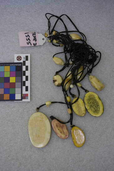 Hearst Museum object titled Pendants, accession number TEMP 2018.1555, described as String of pendants. Black string with nine polished and dyed antler and shell pendants and thirteen smaller, ovoid beads.