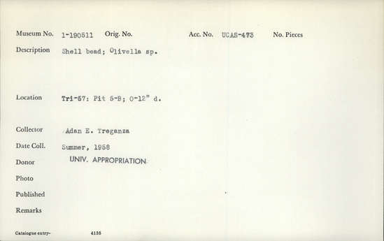 Documentation associated with Hearst Museum object titled Bead, accession number 1-190511, described as Shell bead; Olivella sp.