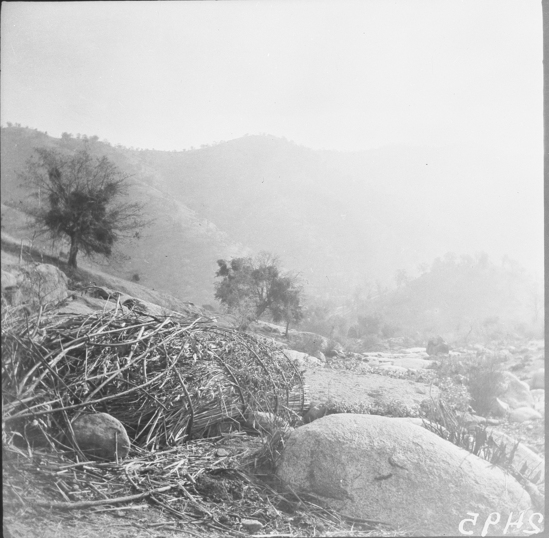 Hearst Museum object titled Black-and-white negative, accession number 15-2495, described as Pigeon snare ambush