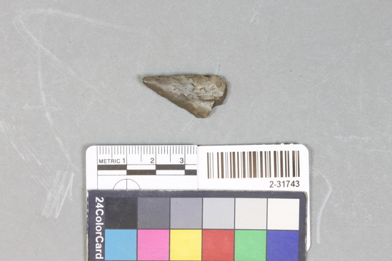 Hearst Museum object titled Point fragment, accession number 2-31743, described as Chert.