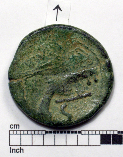 Hearst Museum object 2 of 8 titled Coin: ar denarius, accession number 8-4454, described as Coin; AR; Denarius; Roman. 3.85 grams, 17 mm. Quintus Sicinius, 49-48 BC. Rome, Italy. Obverse: P.R. FORT, Head of Fortuna r., diademed. Reverse: Winged caduceus in saltire and palm branch ornamented with fillets; above, wreath with fillet; in exergue, III VIR/Q.SICINIU(S).