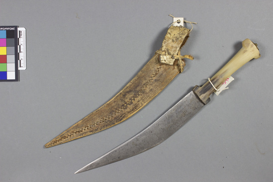 Hearst Museum object titled Knife and sheath, accession number 5-8561a,b, described as A) Knife, steel, double-edged, crescent-shaped blade hafted to carved horn handle; length: 30.7 cm. B) Sheath, leather, stitched along one side, leather loop and laces; length: 22 cm.