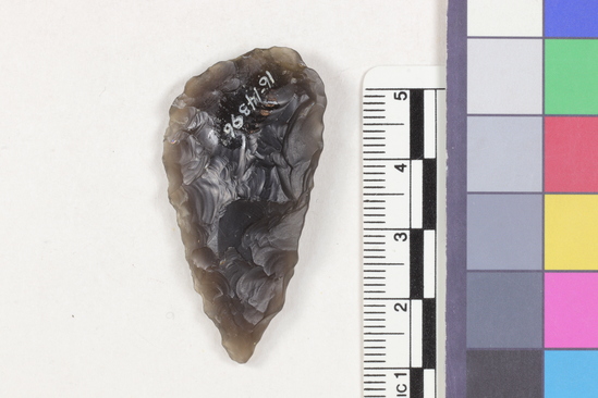 Hearst Museum object 2 of 2 titled Flake, accession number 16-14396, described as Projectile point fragment; obsidian; triangular; weight: 7.3 grams; length: 4.56 cm; width: 2.3 cm; depth: 0.85 cm; convex sides; irregular convex, thinned base.