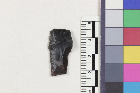 Hearst Museum object titled Flake fragment, accession number 16-14387, described as Projectile point fragment; obsidian; triangular; weight: 1.97 grams; length: 1.54 cm; width: 2.95 cm; depth: 0.4 cm.