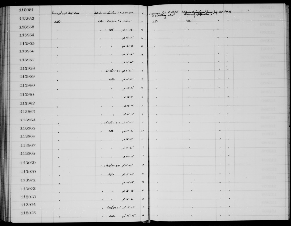 Documentation associated with Hearst Museum object titled Faunal remains, accession number 1-113973, described as Mammal and bird