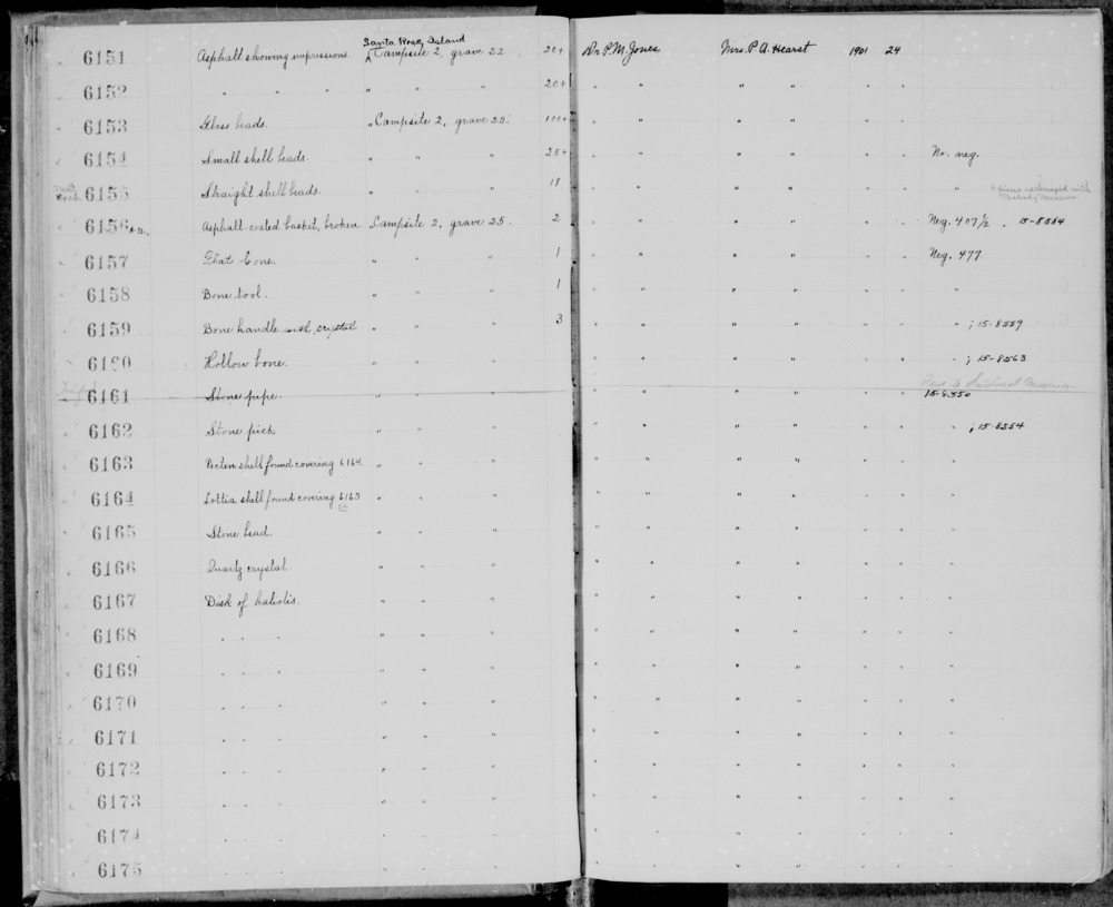 Documentation associated with Hearst Museum object titled Shell, accession number 1-6164, described as Lottia shell.