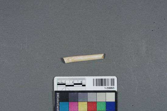 Hearst Museum object titled Ceramic pipe stem fragment, accession number 1-258865, described as No description given on catalog card