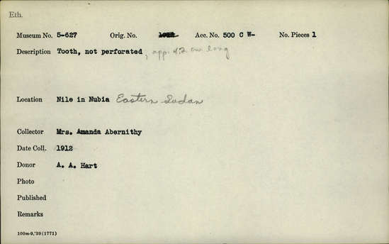 Documentation associated with Hearst Museum object titled Tooth, accession number 5-627, described as Tooth, not perforated