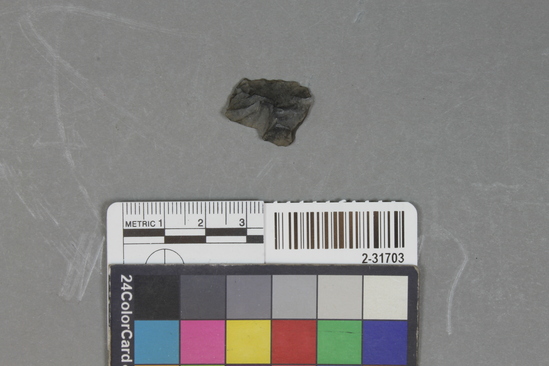 Hearst Museum object titled Point fragment ?, accession number 2-31703, described as Obsidian.