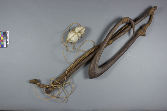 Hearst Museum object titled Fishhook, accession number 11-592, described as Large wooden fishhook