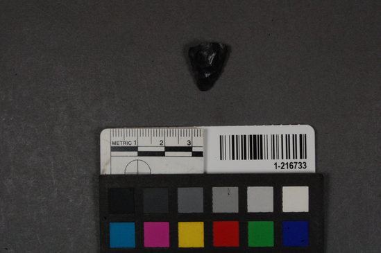 Hearst Museum object titled Projectile point fragment, accession number 1-216733, described as Obsidian tip.