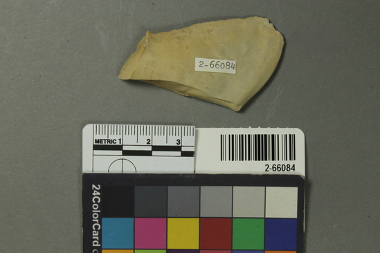 Hearst Museum object titled Flake, accession number 2-66084, described as Lithics