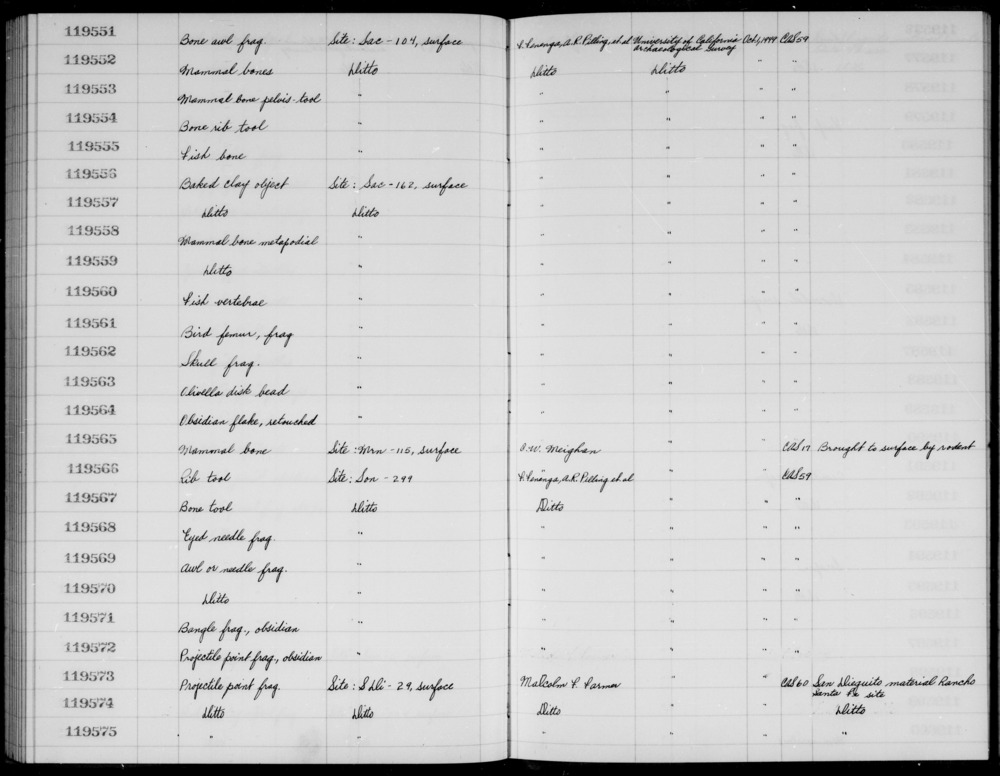 Documentation associated with Hearst Museum object titled Faunal remains, accession number 1-119558, described as Mammal, metapodial