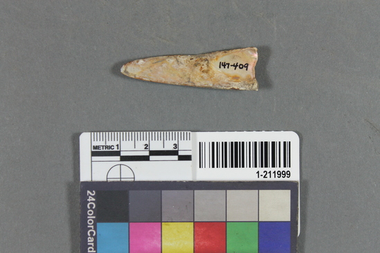 Shell fragment