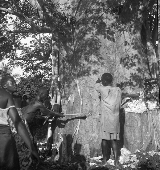 Hearst Museum object titled Black-and-white negative, accession number 15-31020, described as Black and white negative, 2.25" Nigeria, Meko, Atinga, Collecting money for freedom from Atinga (3), 1950-1951