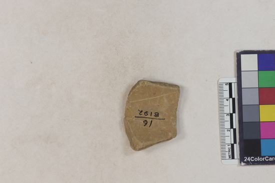 Hearst Museum object 89 of 183 titled Potsherd, accession number 16-8192, described as Potsherd: bodys Section of Manta on beach currently inhabited. Numbers  8111 to 8194 are sherds picked up on beach at low tide.