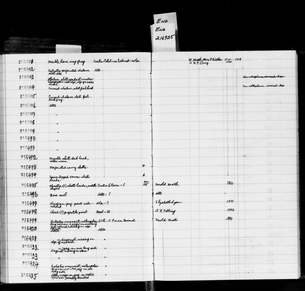 Documentation associated with Hearst Museum object titled Fishhook fragment, accession number 1-216408, described as Curved abalone shell fish hook fragment.