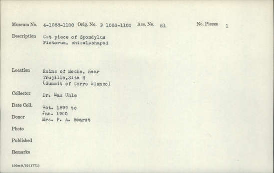 Documentation associated with Hearst Museum object titled Worked shell, accession number 4-1088, described as Cut piece of Spondylus pictorum, chisel-shaped.