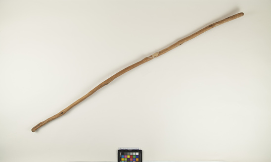 Hearst Museum object titled Stick, accession number 6-14099, described as Stick, smoothed; length 48.5 inches.